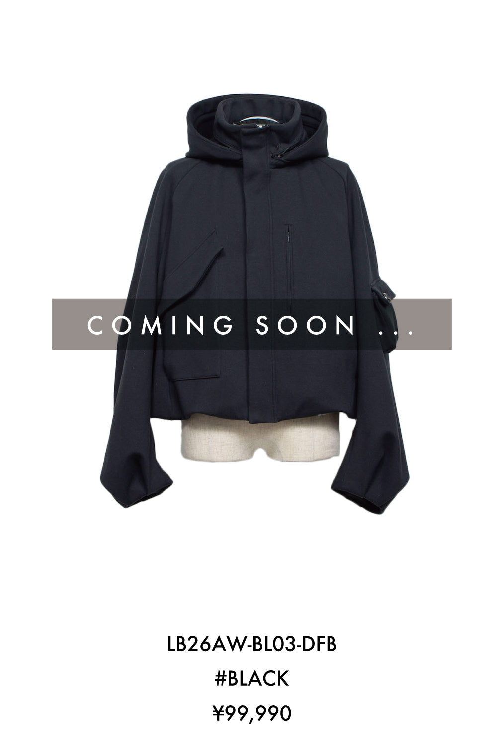 Licht Bestreben Official Page | Online Store | リヒトべシュト