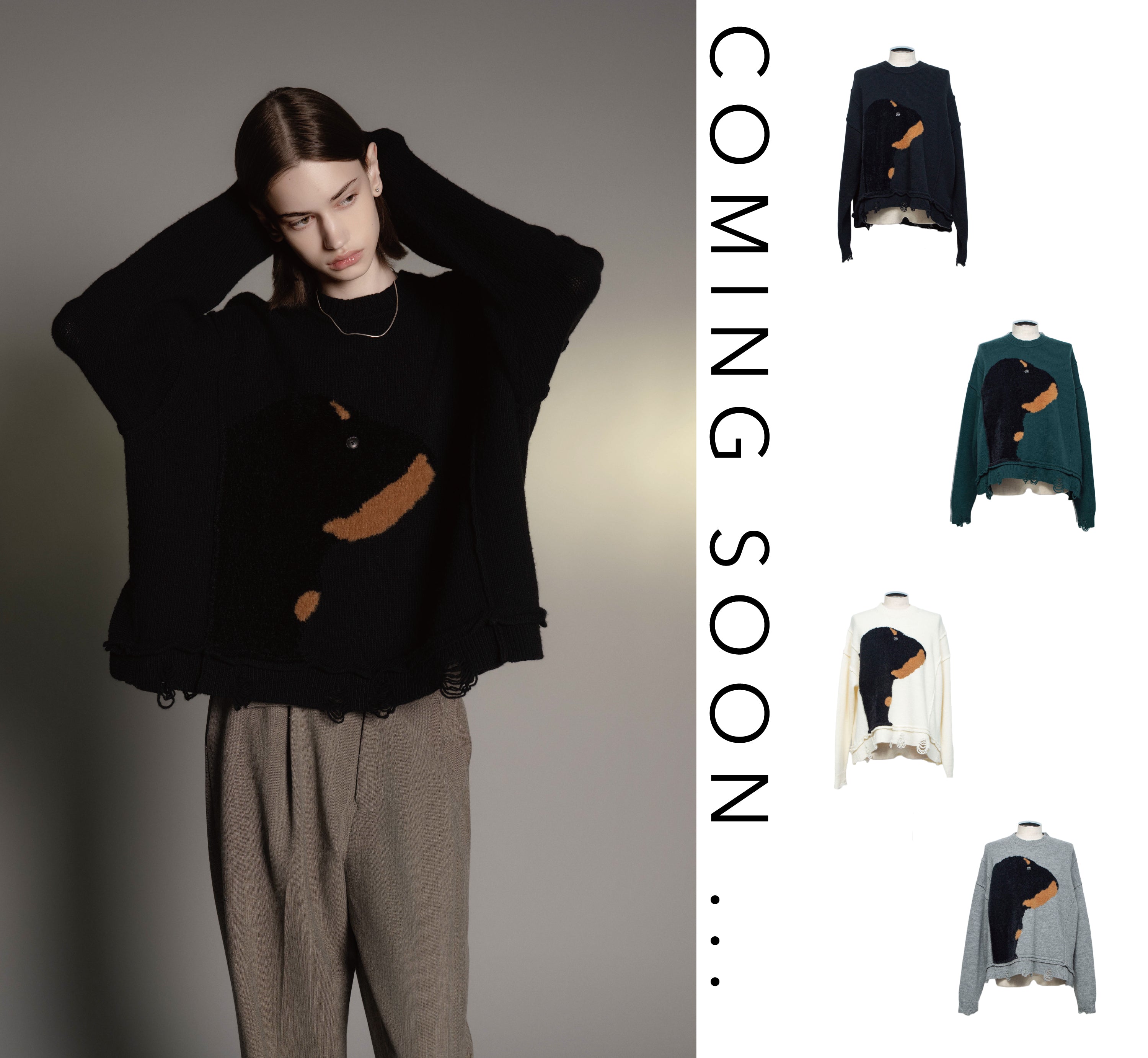 Licht Bestreben Official Page | Online Store | リヒトべシュト